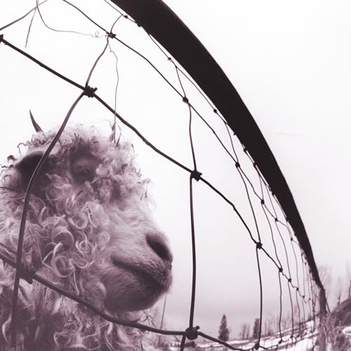 $19.80 Pearl Jam Vs. 30th Anniversary Edition LP