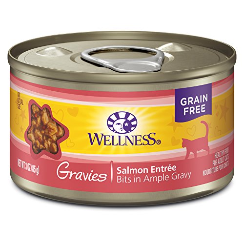 $5.48 w/ S S 12-Pack 3-Oz Wellness Complete Grain Free Canned Cat Food Salmon Entr e