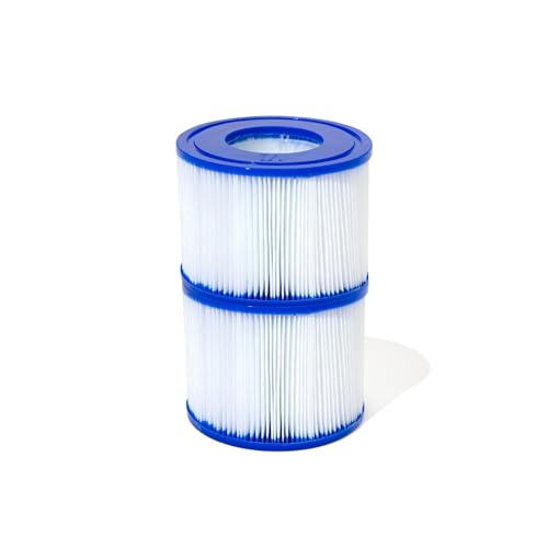 $5.99 Bestway SaluSpa Filter Cartridge VI 2-Pack at Amazon