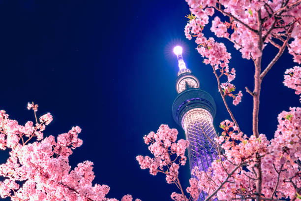 RT Nonstop Airfares From Los Angeles to Tokyo Japan $423 on ZIPAIR Basic Economy Few Travel Dates End of April 2024